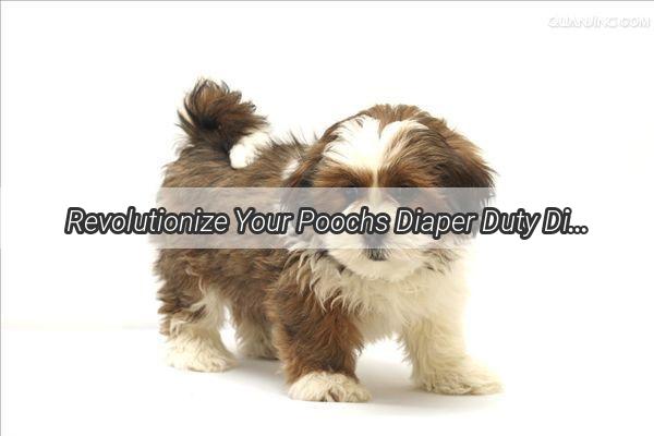 Revolutionize Your Poochs Diaper Duty Discover the Ultimate Alternatives to Dog Diapers